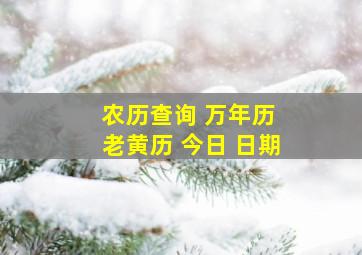 农历查询 万年历 老黄历 今日 日期